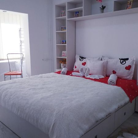Epic Apartment Timişoara Extérieur photo