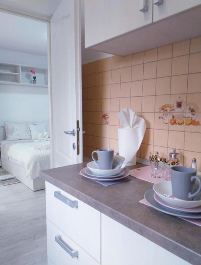 Epic Apartment Timişoara Extérieur photo