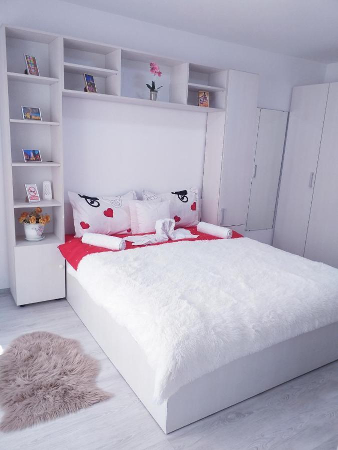 Epic Apartment Timişoara Extérieur photo